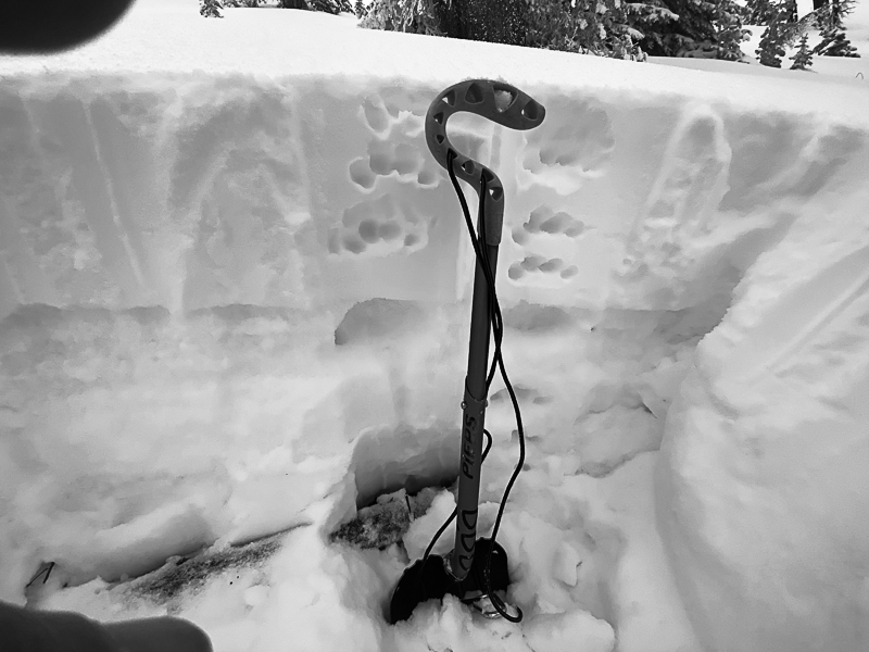 Snow pit on East, Northeast aspect, 7600', Basal facets were damp. upper facets dry.