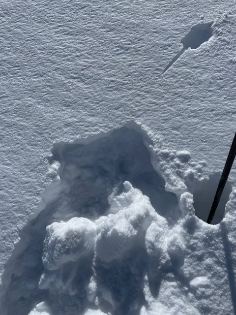 Wind slab that formed last Monday-Tuesday on top of Graupel, fails easy, but fairly soft almost like the surface snow