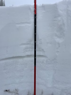 Nov 11, 2021: 75 cms total.  You can see the old snow/new snow interface at 40 cms.
PC: Brian Peters