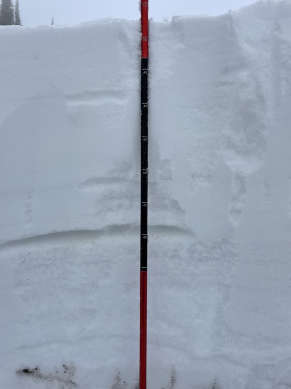 75 cms total.  You can see the old snow/new snow interface at 40 cms.