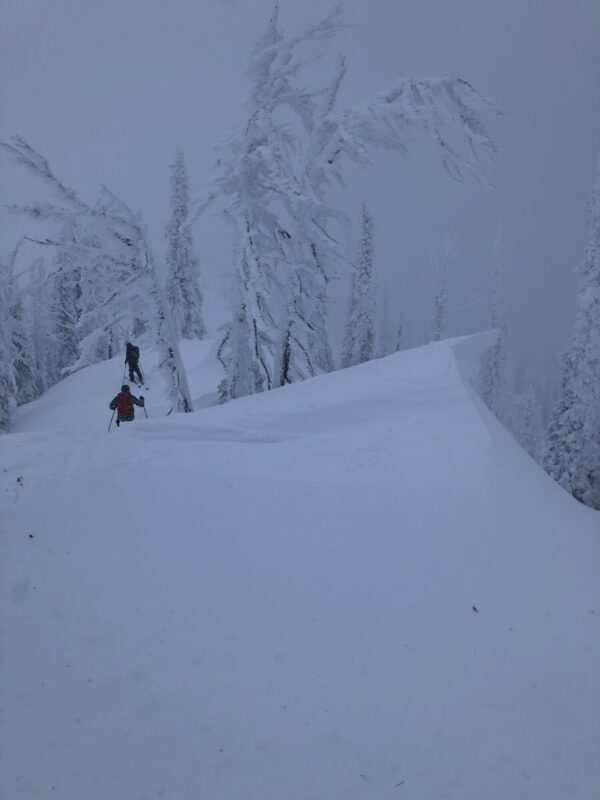 Wind Loaded Cornice