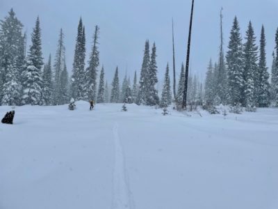Dec 13, 2021: Skinning up from Twin Lakes Trailhead