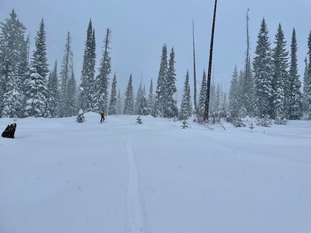Skinning up from Twin Lakes Trailhead