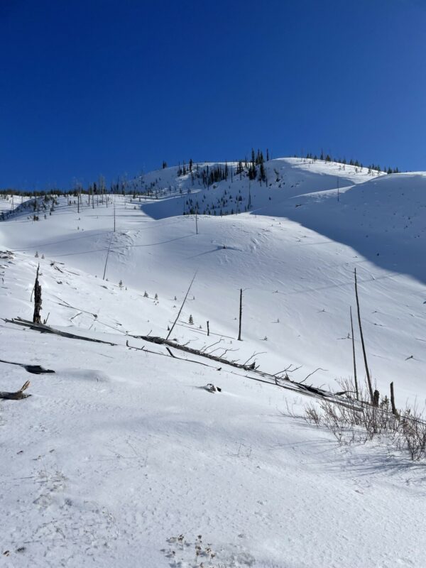 Wind affected terrain and another look at starting zone of old avalanche 