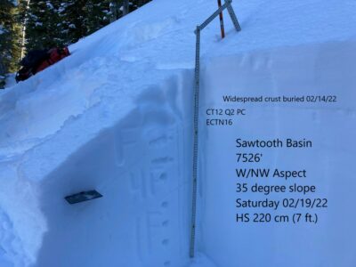 Feb 19, 2022: Snowpit 02/19/22