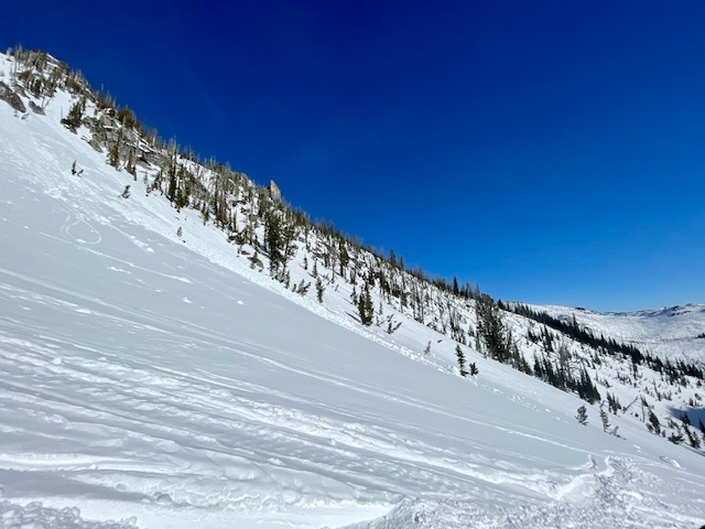 Size 2 point releases on North Bruin at 7,800 FT 