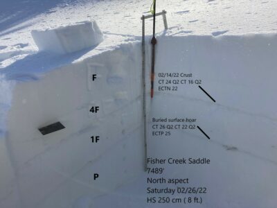 Feb 26, 2022: Fisher Creek Saddle snowpit