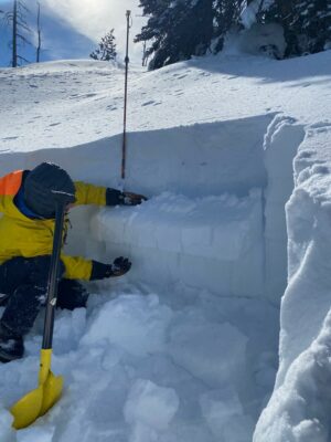 Feb 26, 2022: ECTP25 on buried surface hoar 55 cm below the surface