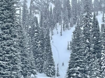 Jan 31, 2022: West aspect sled cut near Rapid lake 