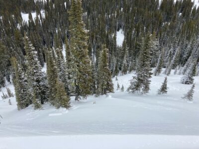 Mar 14, 2022: Debris from a remotely triggered avalanche near Lone Tree