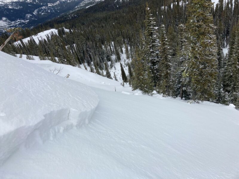 Avalanche propagated around this terrain feature with an aspect change