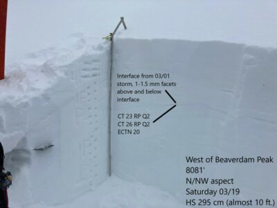 Mar 19, 2022: Snowpit 03/19