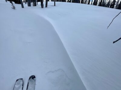 Mar 18, 2022: Small spines formed from the wind...some slabby snow was encountered near ridgelines under SW gusts, but no cracking or other red flags were observed.