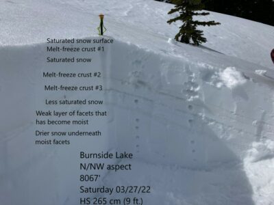 Mar 26, 2022: Snowpit on N/NW aspect at 8000'