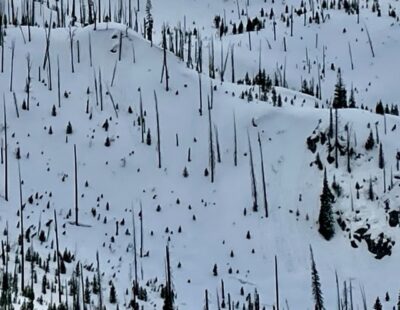Mar 18, 2022: 6700', North aspect near Deep Lake that was getting warm and producing small, loose-wet avalanches in steep terrain