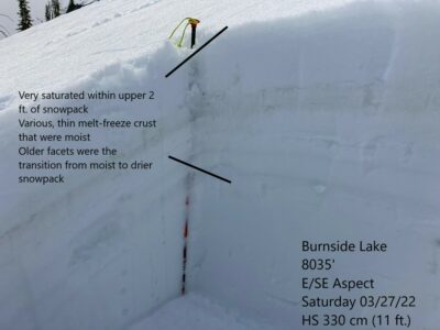 Mar 26, 2022: Snowpit on E/SE aspect at 8000'