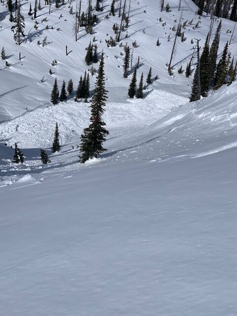 Debris of Surprise avalanche.  Taken from the crown.