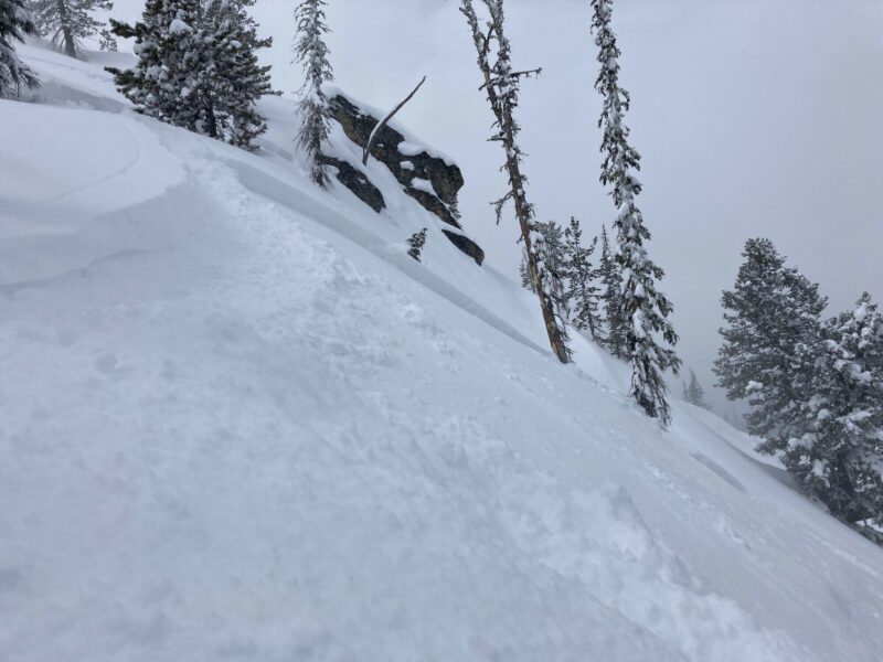 Sensitive storm slab releases from a ski cut