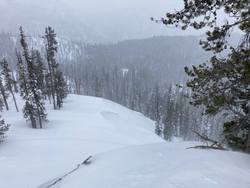 W/NW winds were building sensitive cornices on ridgetops