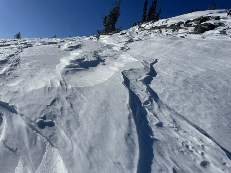 Widespread wind affected terrain in alpine.