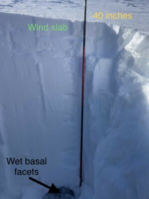 Pit profile at 8000’ due north aspect in wind loaded area.