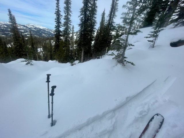 Skis didn't sink deep, 10 cm ski penetration, due to a more dense layer in the middle of the snowpack