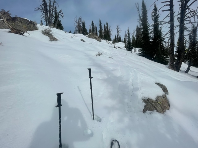 SW aspects were very shallow and had a surface of firm corn snow on the top and facets at the bottom