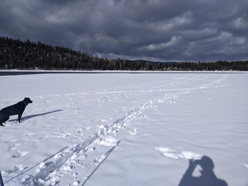 Little Payette lake , and my ski tracks where the snow had collapsed in the lower left of photo