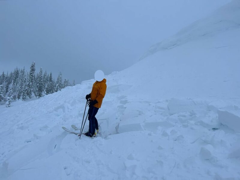 View looking across the debris field. Skier is 6' tall for scale.