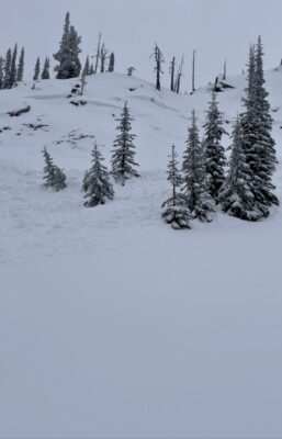 Dec 29, 2022: Natural avalanche observed from a local snowmobiler on a North aspect just above Duck Lake 