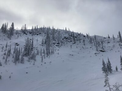 Dec 7, 2022: Steep northeast facing terrain with evidence of the natural avalanche cycle from last week