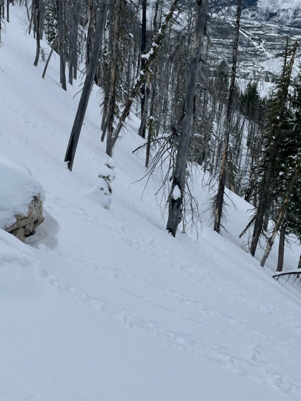 Pin rolls in steeper north facing terrain at 7600’