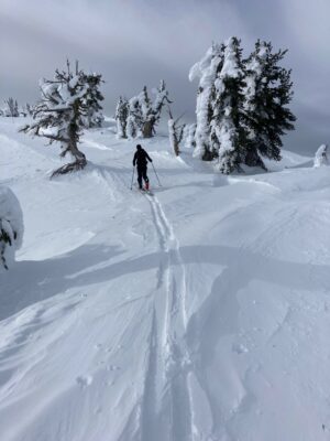 Feb 1, 2023: Older drifts on ridgetops from NE winds