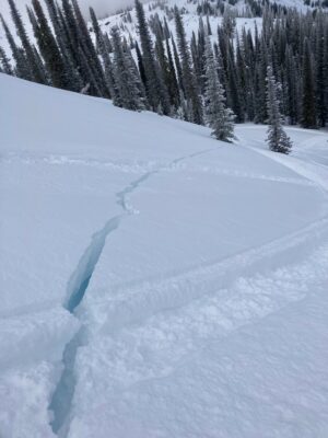 Feb 6, 2023: Snowmobile-triggered avalanche near Council Mtn Monday (02/06). HS-AMu-R3-D2-7340'-N/NE. This avalanche ran on a layer buried surface hoar, ranged in depth from 40-110 cm (16-44