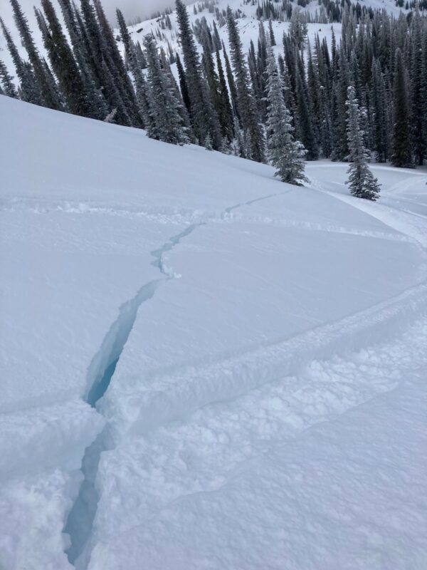 Snowmobile-triggered avalanche near Council Mtn Monday (02/06). HS-AMu-R3-D2-7340'-N/NE. This avalanche ran on a layer buried surface hoar, ranged in depth from 40-110 cm (16-44