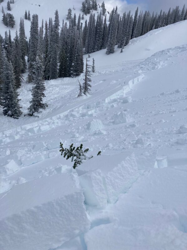 Snowmobile-triggered avalanche near Council Mtn Monday (02/06). HS-AMu-R3-D2-7340'-N/NE. This avalanche ran on a layer buried surface hoar, ranged in depth from 40-110 cm (16-44