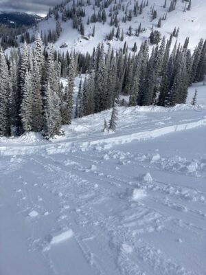 Feb 6, 2023: Snowmobile-triggered avalanche near Council Mtn Monday (02/06). HS-AMu-R3-D2-7340'-N/NE. This avalanche ran on a layer buried surface hoar, ranged in depth from 40-110 cm (16-44