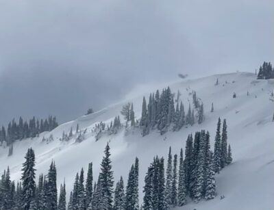 Feb 27, 2023: Active wind loading and recent natural cornice debris from Moderate South wind gusts in Poison Cr just South of the avalanche we were investigating.