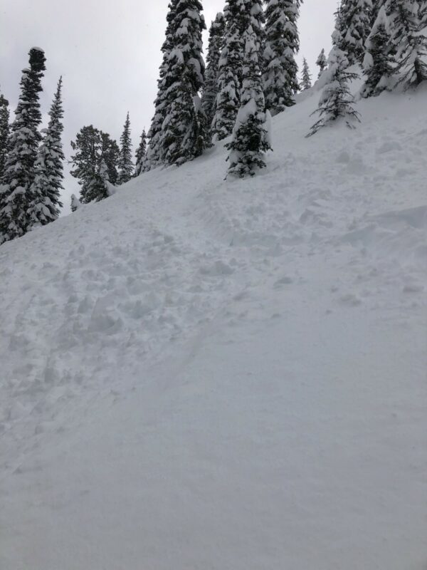 Debris from avalanche