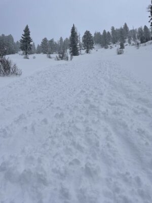 Mar 3, 2023: Dry loose snow avalanche (sluff) submitted by a public observation from Friday (03/03).