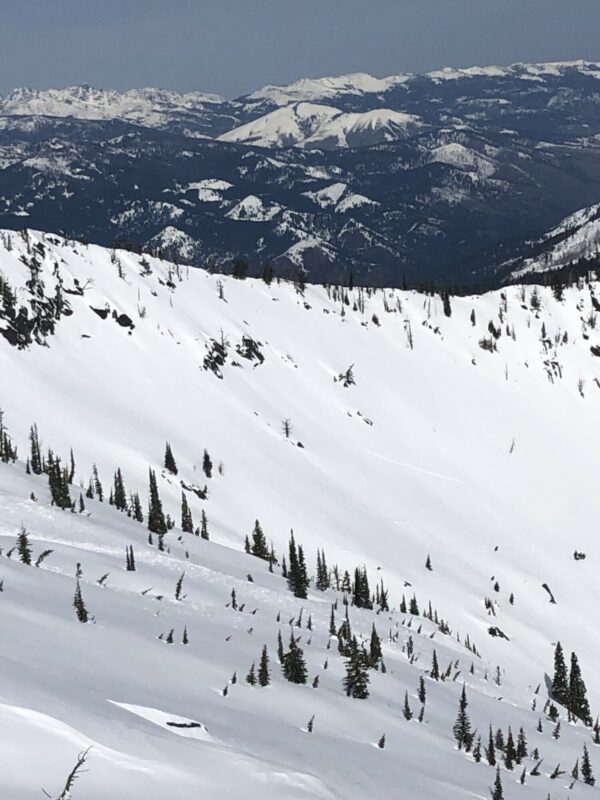 Multiple point release avalanches on south east aspect. Very hard to see in photo. 