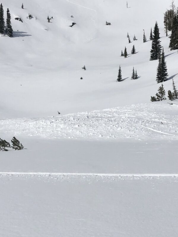 Debris from large avalanche 