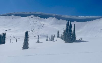 Mar 17, 2023: ENE aspect just North of Council Mt one of may natural wind slabs that released mid-storm Tuesday-Wednesday