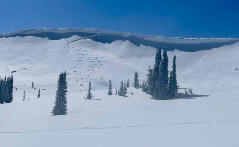 ENE aspect just North of Council Mt one of may natural wind slabs that released mid-storm Tuesday-Wednesday