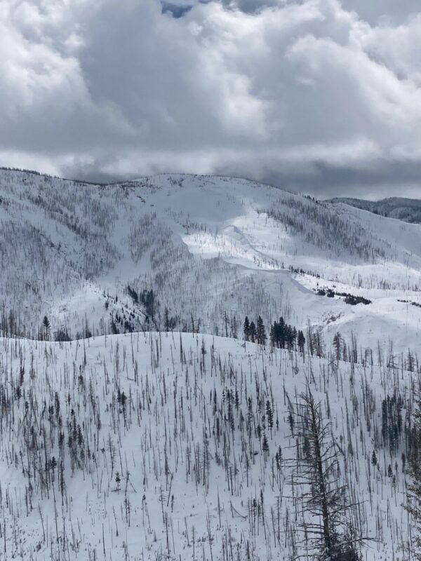 Two avalanches observed on Sunday (04/02) east of Warm Lake. Both on N/NW aspects between 6600'-7400'