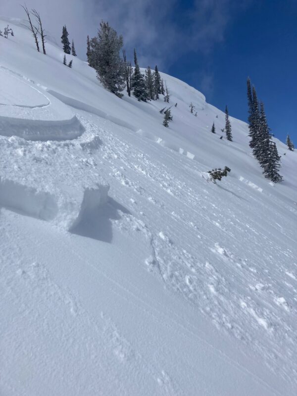 Looking up at the crown of the avalanche. This slide failed on a layer of weak snow above the MF crust buried on Monday (04/17)