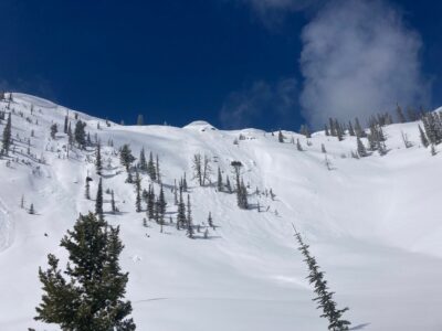 Apr 19, 2023: You can see the evidence of an older avalanche on this adjacent slope
