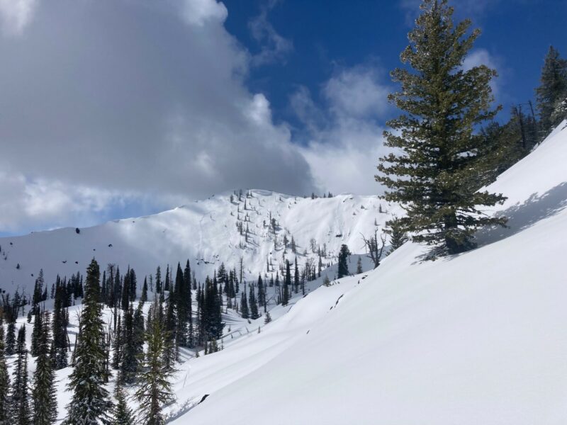 You can see the crown and flanks of recent avalanche activity to the right