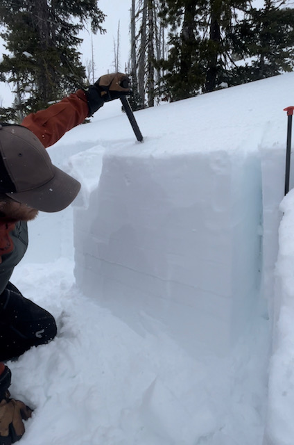 No propigation on this (ECT) extended column test where we were testing the strength of 3 solar crusts that formed March 20, 23, & 28th. Kevin had to pry with his shovel.