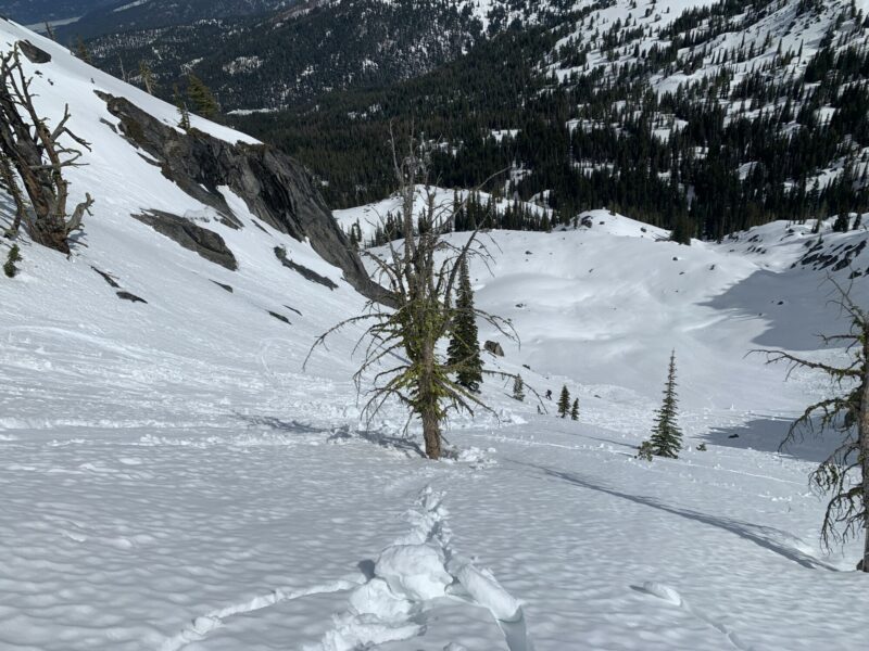 We skied the avi debris. From my partner's position it was a lower enough angle to risk skiing untracked snow. 